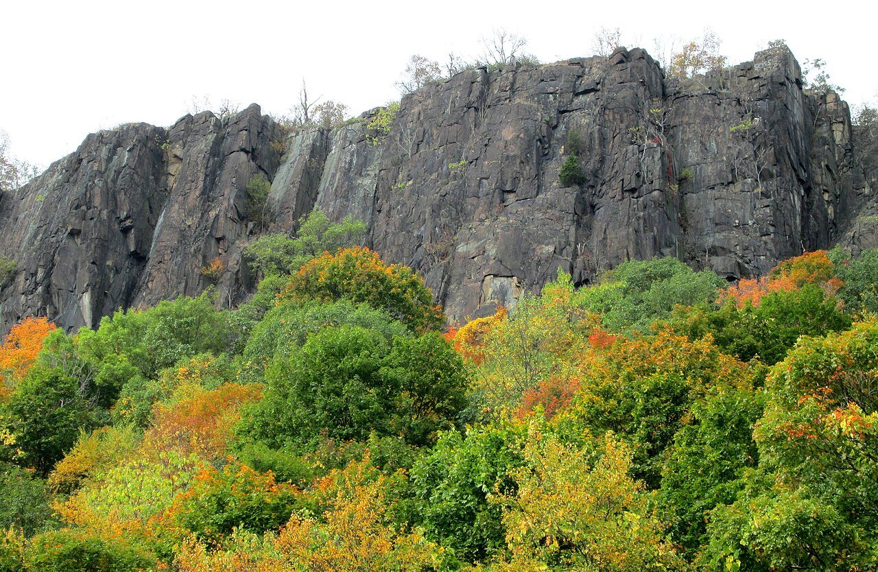 Palisades cliffs above autumn trees, seen from Alpine Boat Basin.